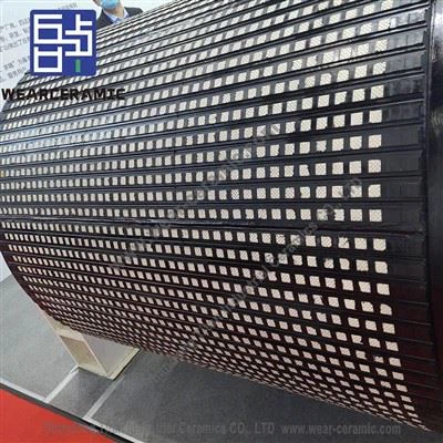 Trasportatore composito ceramico di allumina con supporto in gomma